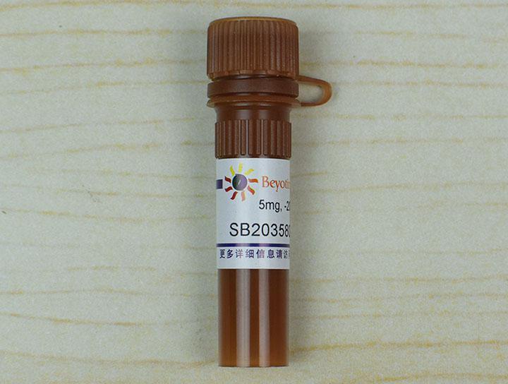 SB203580 (p38 MAPK抑制剂)